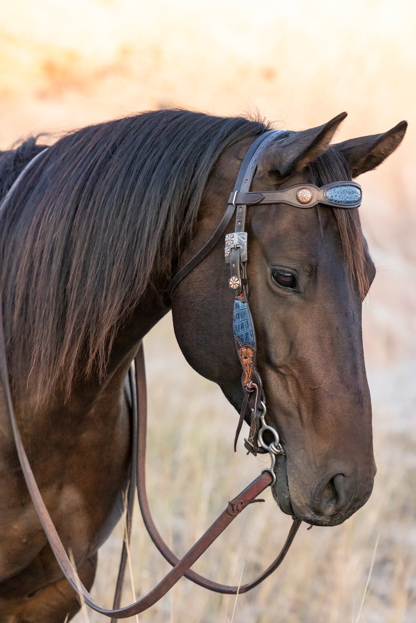 Browband Headstall